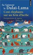 Cent Éléphants sur un Brin D'Herbe