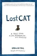 Lost Cat