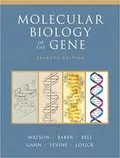 Molecular Biology of the Gene