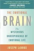 The Emotional Brain